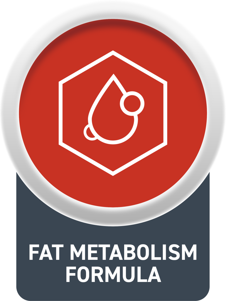 l-carnitine or l-glutamine for weight loss L-Glutamine vs L-Carnitine: Recovery, Fat Loss, Dosage & Safety